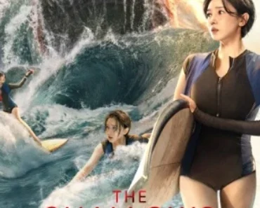 The Shallows 2025 Hindi Dual Audio WEB-DL 720p – 480p – 1080p – HDMOVIE2.TOP
